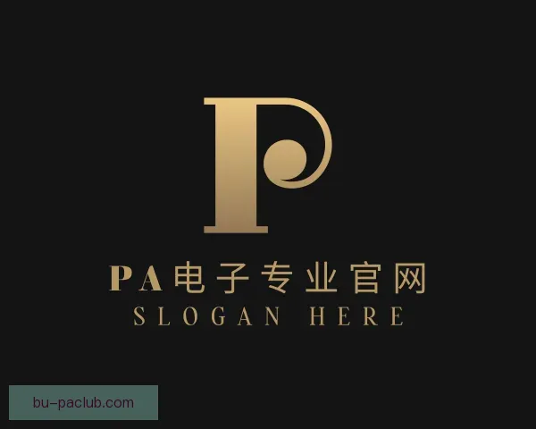 发现PA电子专业官网